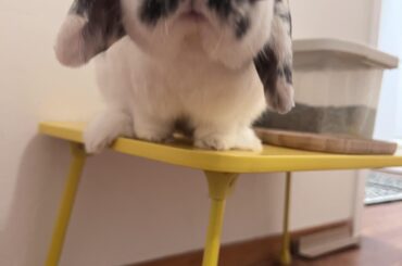 you got snacks?