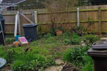 Rabbit for easter break