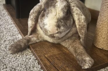 Please keep Bernie in your prayers ❤️