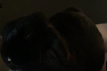 so sleepy