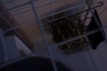 Normal drinking sounds?