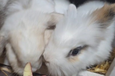 No one's getting left behind