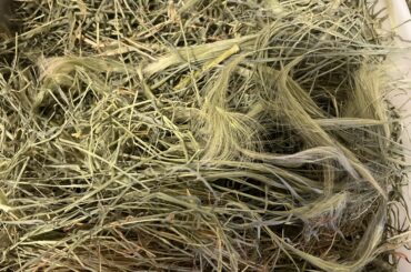 what’s in my oxbow hay?