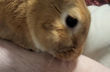 My kissy baby 🥺
