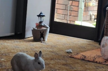 Time to show you my binkie skills, ready set go!