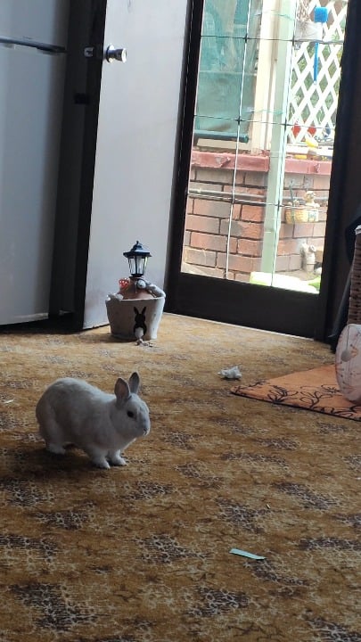 Time to show you my binkie skills, ready set go!