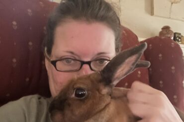 RIP Harley Jane. Only 5 years old. Continued below.
