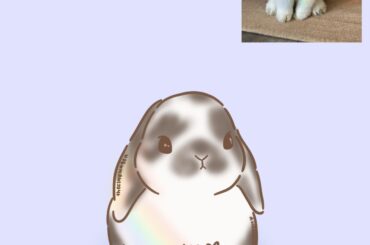 Looking for bunnies to draw!