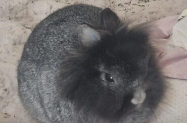 He is so round!!!