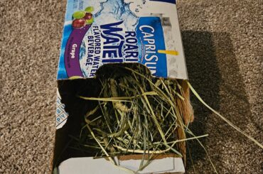 How often should we switch out uneaten hay?