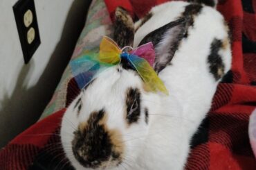 I need tips for bonding!