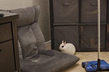 I'm frequently amazed by how tiny he is 🥺