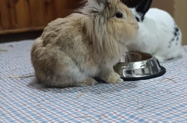 He has the most fabulous hair🕺🏼