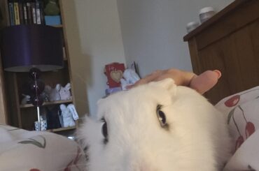 Love her derpy face