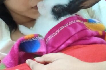 Hi it's my last post about Coco
