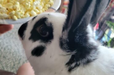 Your food is my food