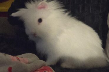 CC Jr and Cloud!