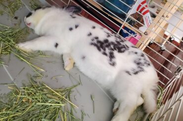So tired from doing nothing all day