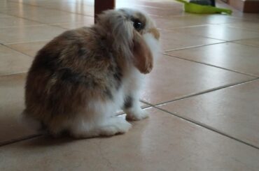 My Baby