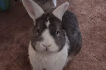 Listening very intensely 😆