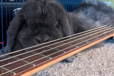 Blue wishes Sundays could last forever...