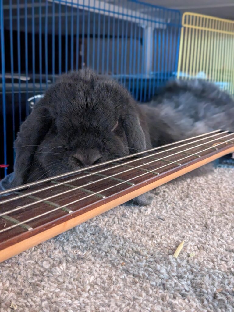 Blue wishes Sundays could last forever…