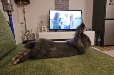 I have the cutest golf company 🥹