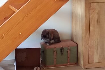 wtf is his problem, he keeps sitting like that