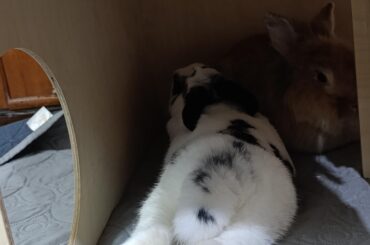 She's flaunting the forbidden footsies, daring me to touch them 😬