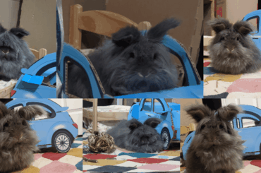 just a boy and the love of his life: blue car
