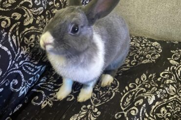 My baby Luna