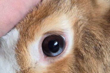I can't get over how pretty her eyes are 😍