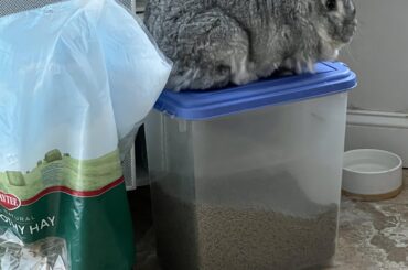 When you want to be fed now