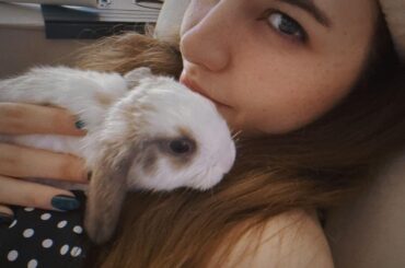 Say hi to my new son, his name is Dango... After my last bunny passed away 2 years ago I finally made my mind to get a new baby ❤️