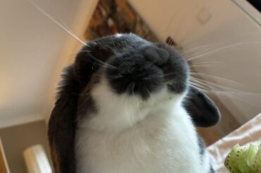 The cutest face ever.