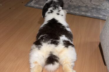 He finally loves me forever.