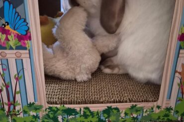 House party with his friends.