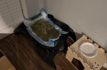 Litter box questions