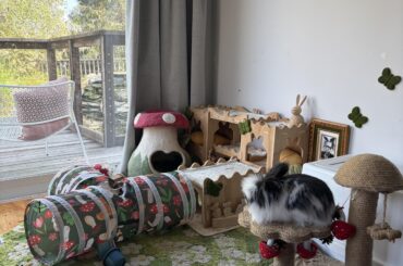 Ok pretend there’s super Mario music…