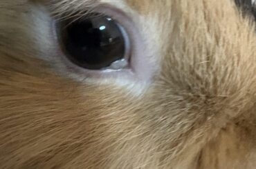what does he have in his eye??