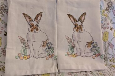 Turned tea towel into my bunny