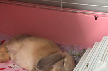 Name ideas?