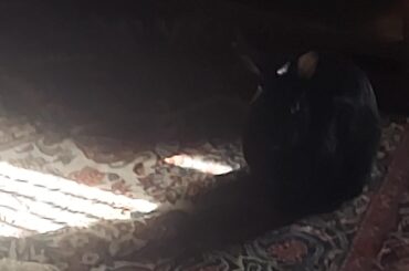 The Light of my Life
