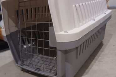 is this too big for a rabbit?