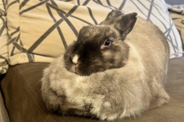 Just wanted to share icy