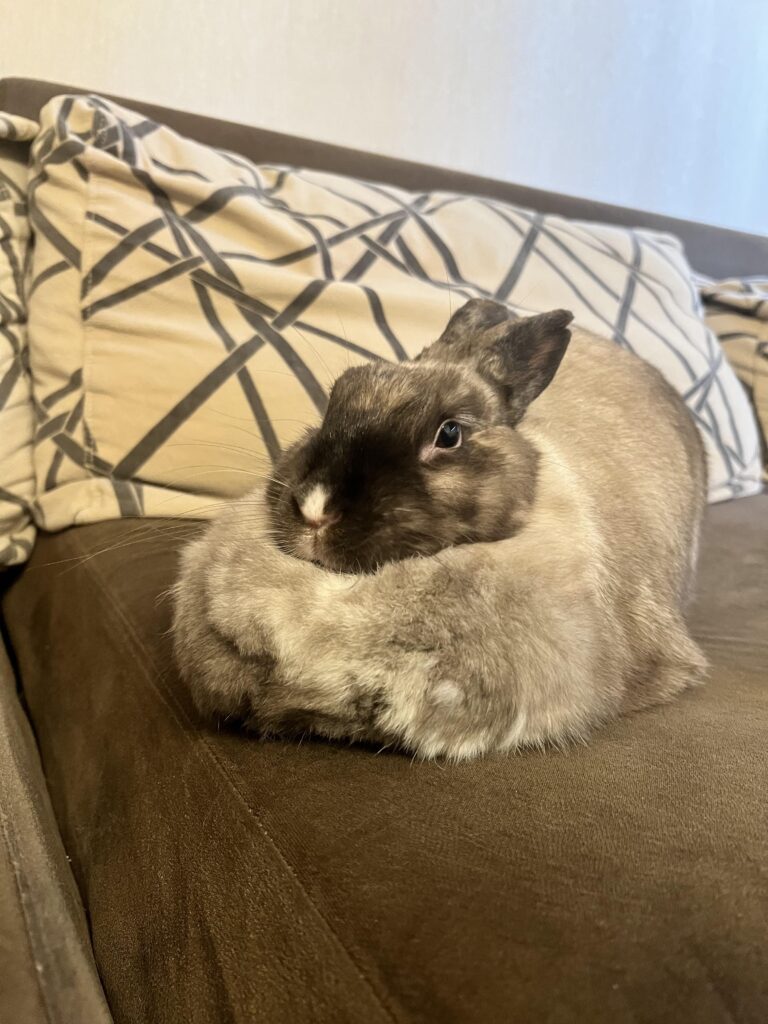 Just wanted to share icy