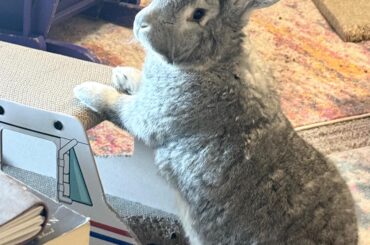 USPS Is Looking Sketchy AF These Days.