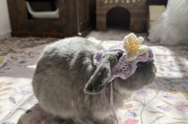 Easter hat