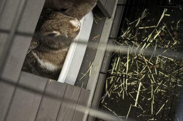 my buns in there home space !