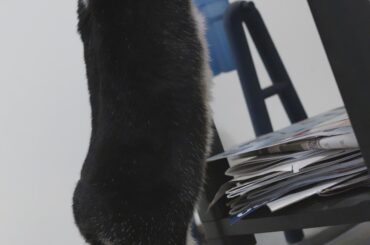 Standing up for her ball